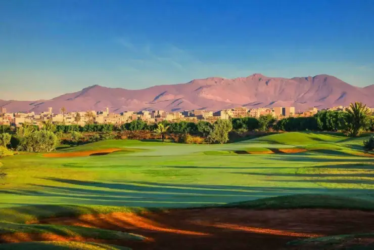 Agence immobilière Palmeraie