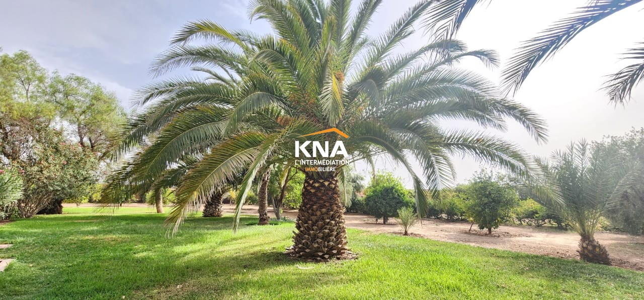 Villa, Route de l'Ourika Marrakech Maroc