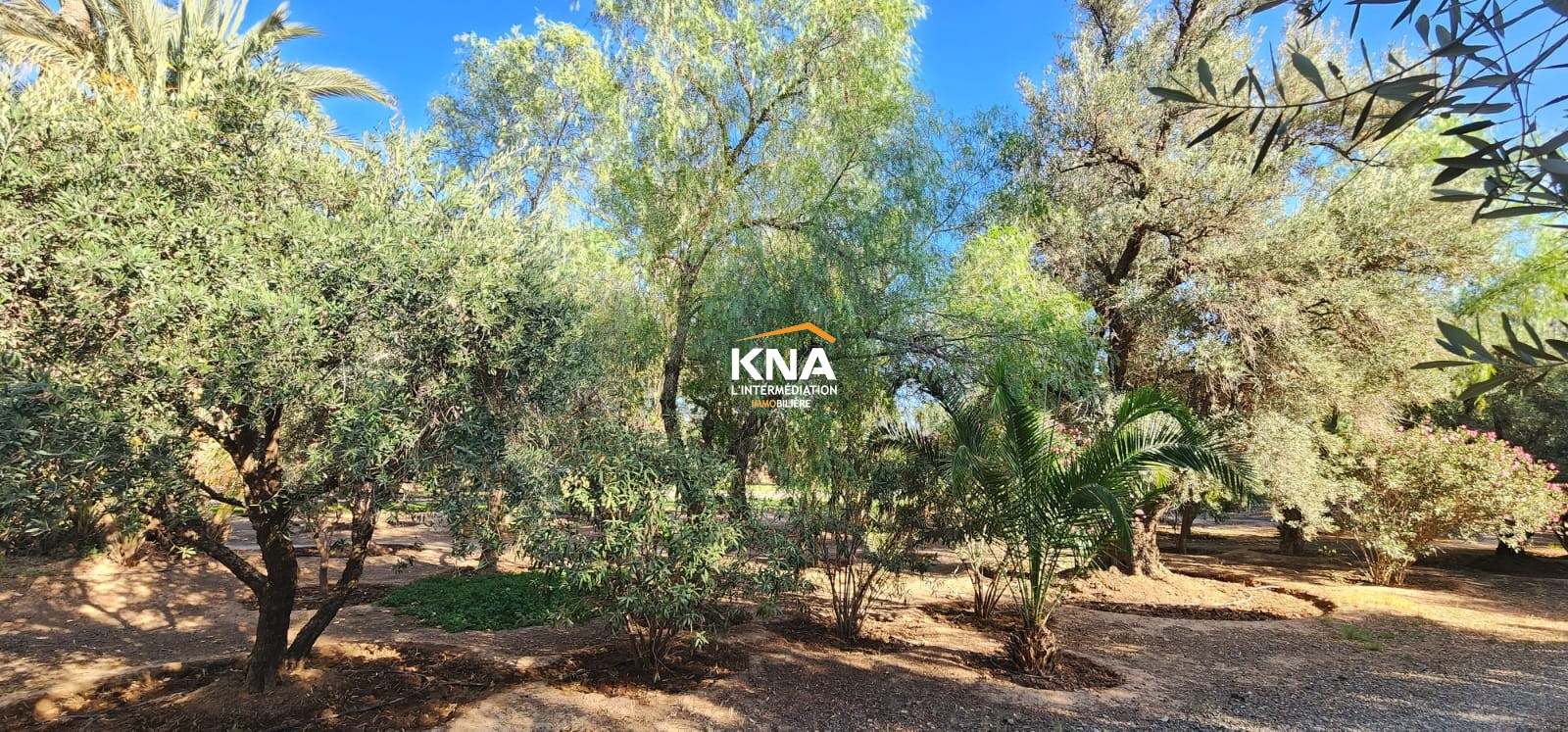 Villa, Bab Atlas Marrakech Morocco