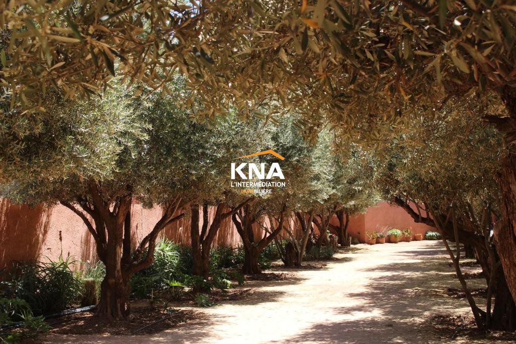 Villa, Amizmiz road Marrakech Morocco