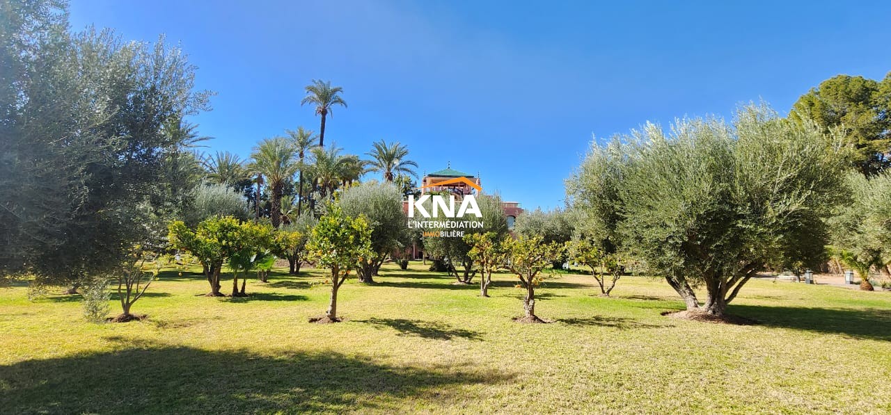 Villa, Palmeraie Marrakech Maroc