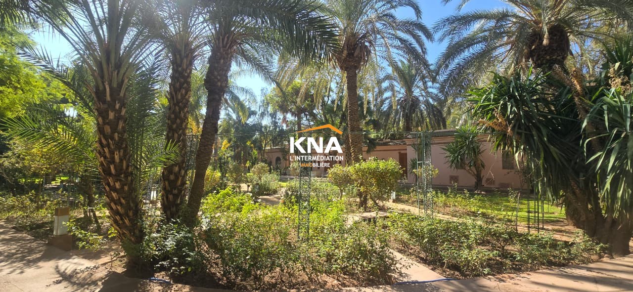 Villa, Palmeraie Marrakech Morocco