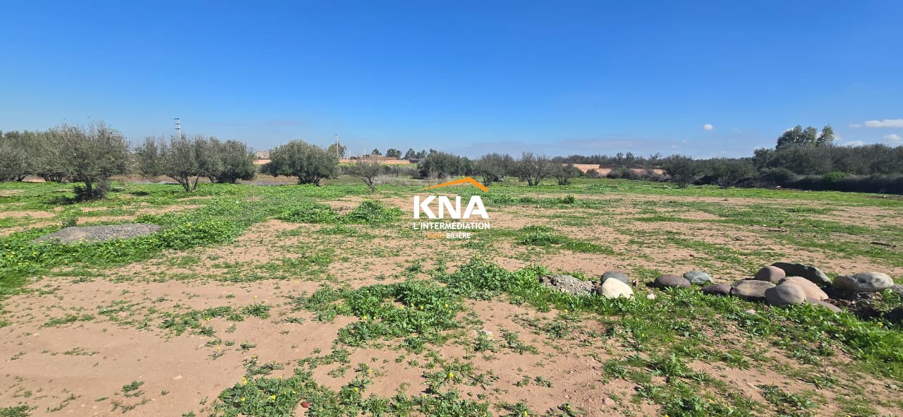 Villa, Amizmiz road Marrakech Morocco